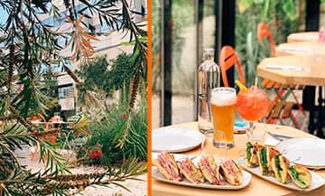 The Laia's rooftop in Paris