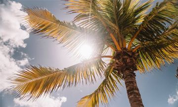 Produits Solaires